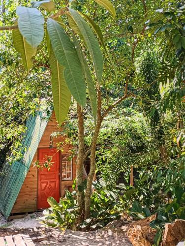 a small house with a red door in a forest at Guarda Garden Cabanas in Palhoça