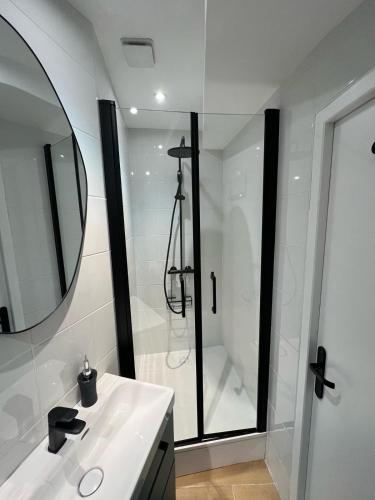 La salle de bains est pourvue d'une douche et d'un lavabo blanc. dans l'établissement Victor Hugo - ANGERS, à Angers