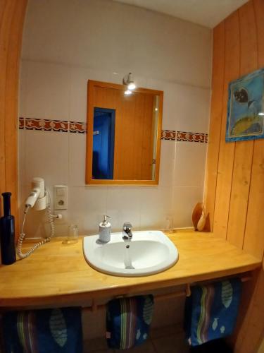 a bathroom with a white sink and a mirror at La Jameliniere in Chailland