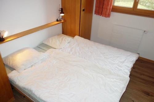 Gentianes G 023 - COSY apartment 6 pers