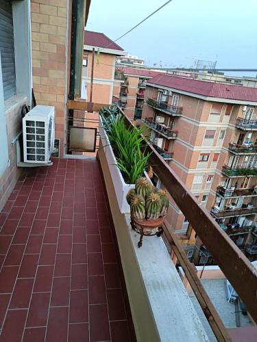 Casa Caselli