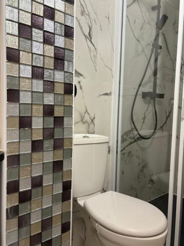 a bathroom with a toilet and a shower at Appartement Calme entre mer, montagne et rivière in Conca