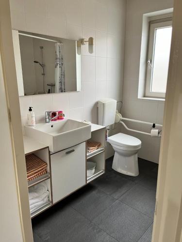 a bathroom with a sink and a toilet and a mirror at B&K het hoenveld in Driel
