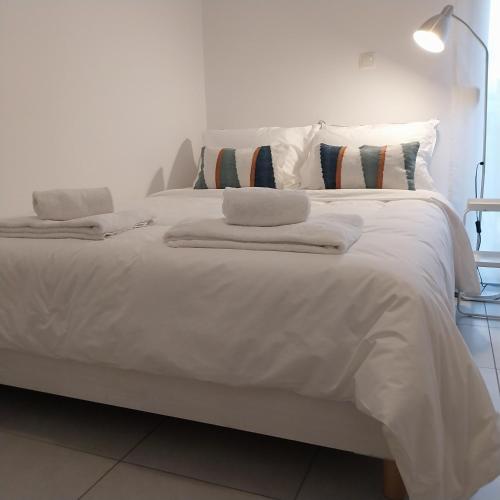 BLE Penthouse at Rotonda