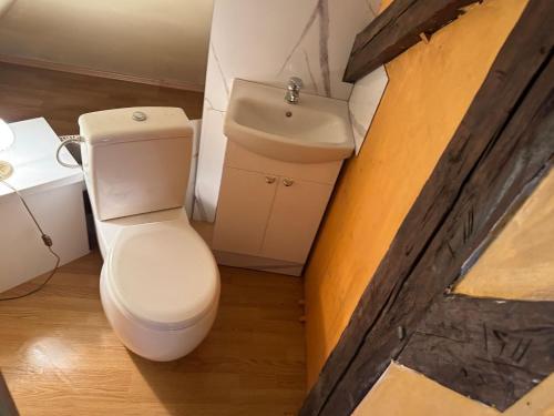 a bathroom with a toilet and a sink at House-Museum #Medieval unique experience in Tallinn