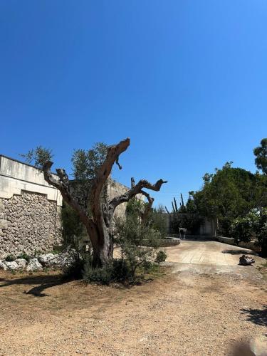 Φυσικό τοπίο κοντά σε αυτό το διαμέρισμα