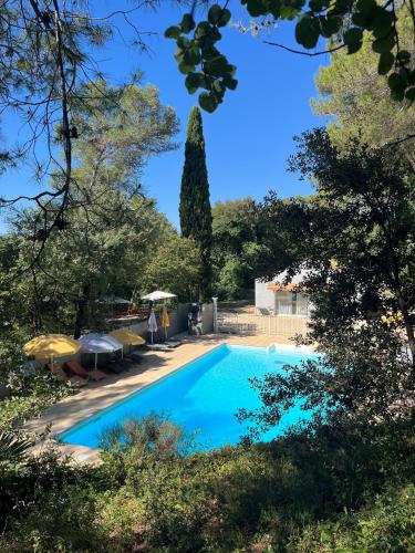 une piscine dans un jardin arboré dans l'établissement Loft 4, à Saint-Gély-du-Fesc