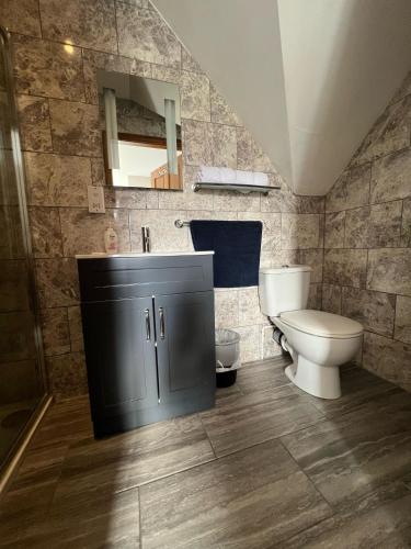 a bathroom with a toilet and a sink at Culacrick in Banavie