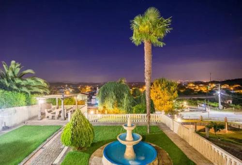 a palm tree sitting on top of a yard at Majestic Manor in Valença with private pool in Valença