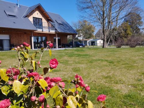 a house with a bunch of roses in a yard at Casa Adam's in Saint-Jean-le-Thomas