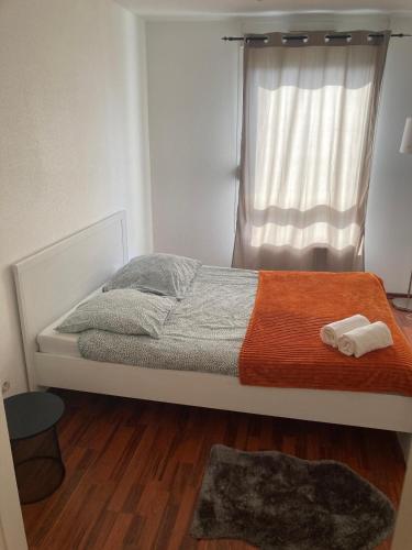 - une chambre avec un lit, une fenêtre et un tapis dans l'établissement Charmant appartement au centre, à Strasbourg