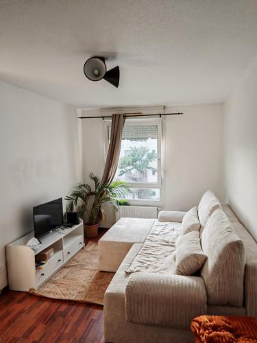 Charmant appartement au centre