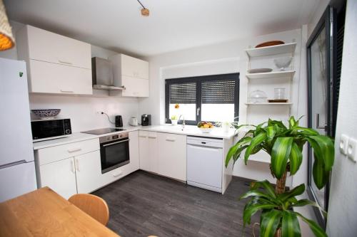 une cuisine avec des armoires blanches et une plante en pot dans l'établissement Appartement moderne au centre ville, à Strasbourg