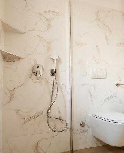 a bathroom with a shower and a toilet at Apartments Merlin in Novigrad Istria
