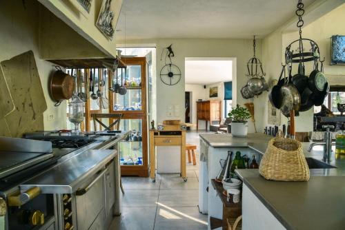 une cuisine avec une cuisinière et un comptoir dans l'établissement Les Nymphéas, peaceful haven & private pond, à Angresse