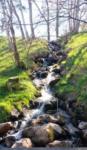 a stream of water with rocks and trees on a hill at Le confort sans chichis, un cocon pour 1 à 6 voyageurs in Lapeyrouse