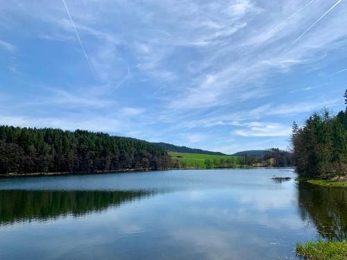 a view of a lake with trees and a cloudy sky at Lindners Hideaways - Gutshof Pine Retreat - Sauna - In Villa - Terrasse - Garten mit Rehgehege - Frühstück verfügbar - SKI - Arber - Osser - bis 5 Pers in Hohenwarth