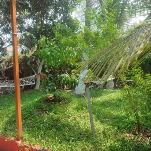 a hammock in the grass in a yard at Green heaven homestay in Alibaug