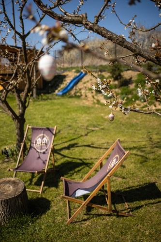 two chairs sitting in the grass under a tree at Czereśniowe Wzgórze Sandomierz jakuzzi in Sandomierz