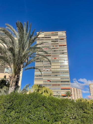 Panoramico Apartamento Principado Marina