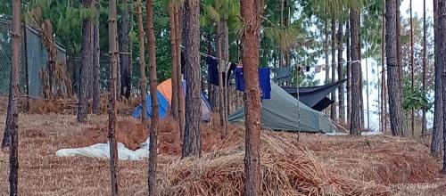 a tent in the middle of a forest with trees at Everest Home Stay Temal Kalimati Tower in Thapathali