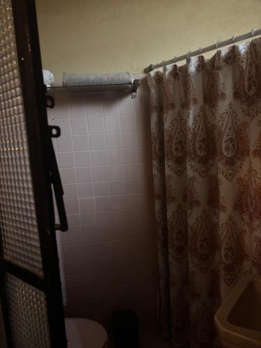 タスコ・デ・アラルコンにあるLa Adornada Nardoのシャワーカーテンとトイレ付きのバスルーム