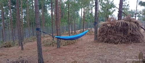 a blue hammock in a fence with a haystack at Everest Home Stay Temal Kalimati Tower in Thapathali