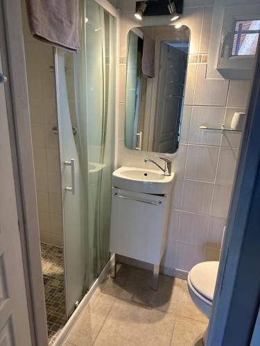 une salle de bain avec un lavabo, une douche et des toilettes dans l'établissement Charming outbuilding with pool in Peypind'Aigues, à Peypin-dʼAigues