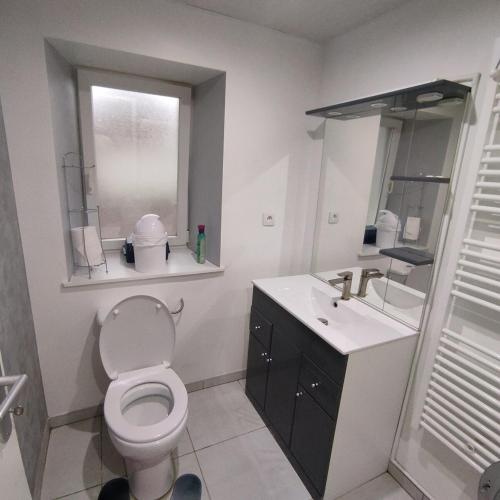 une salle de bain avec toilettes, lavabo et miroir dans l'établissement Appartement avec cour fermée, à Andelot