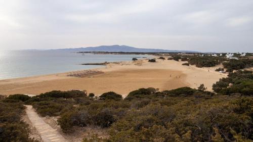 a view of a beach with the ocean in the background at Ammos Studio Pyrgaki Naxos in Agiassos