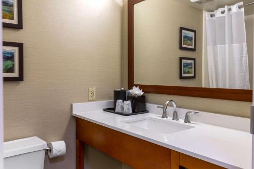 a bathroom with a sink and a mirror at Comfort Inn University Durham - Chapel Hill in Durham