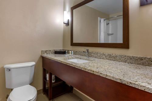 a bathroom with a sink and a toilet and a mirror at Comfort Inn Laurinburg in Laurinburg