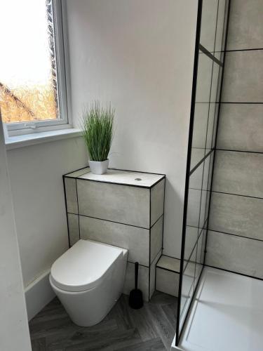 a bathroom with a toilet and a plant on a shelf at ResiLets - Ground Plessey Road Apt in Cowpen
