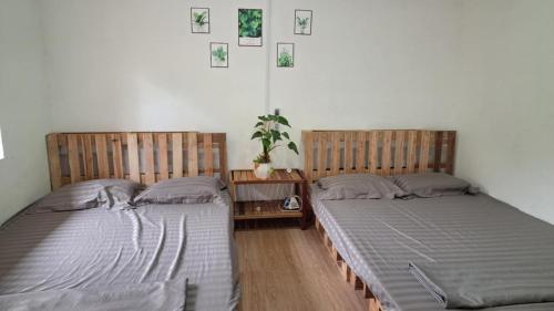 two beds sitting next to each other in a bedroom at đất phú homestay phú yên in Ða Ngủ (2)