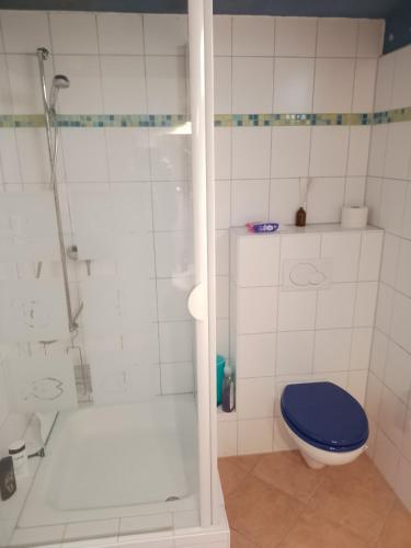 a bathroom with a blue toilet and a shower at Vogelparadies Homestay Nichtraucher in Hemhofen