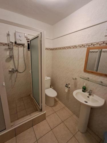 a bathroom with a shower and a toilet and a sink at Residence les orchidees D5 in Flic-en-Flac