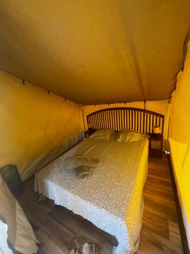 - un lit dans une tente avec une couette blanche dans l'établissement La Tente de Mercone - Alzu, à Corte