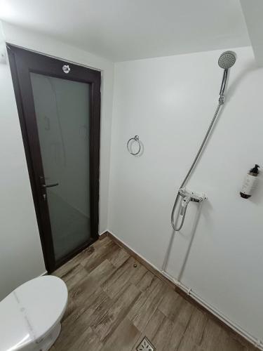 a bathroom with a toilet and a glass door at Pastravaria Zavoi in Valea Danului