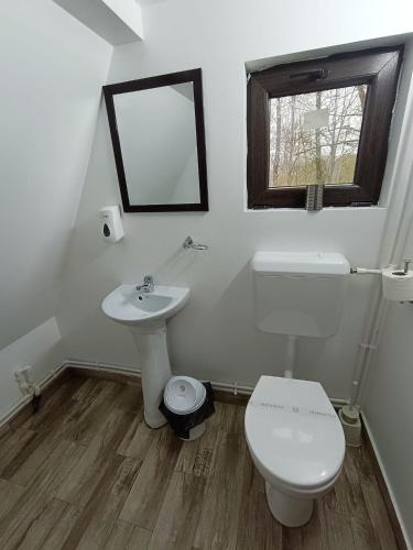 a white bathroom with a toilet and a sink at Pastravaria Zavoi in Valea Danului