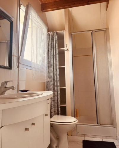 une salle de bain avec toilettes, douche et lavabo dans l'établissement Gîte la Turballe France, à La Turballe