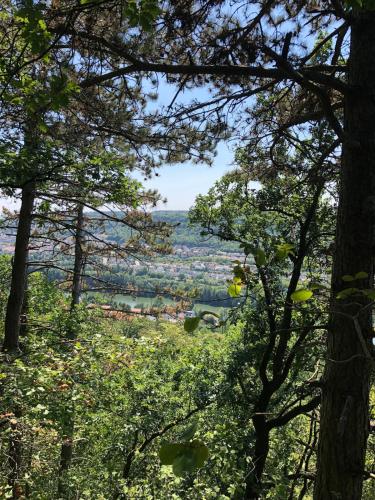 a view of a city through the trees at Le Nid - Maison proche de la forêt in Frouard