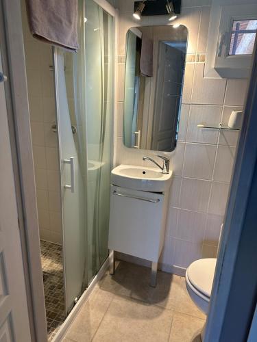 une salle de bain avec un lavabo, une douche et des toilettes dans l'établissement Charming outbuilding with pool in Peypind'Aigues, à Peypin-dʼAigues