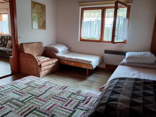 sala de estar con sofá, silla y cama en Apartmán Paula, en Liptovský Trnovec
