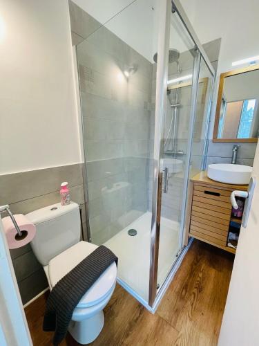 une salle de bain avec une douche, des toilettes et un lavabo dans l'établissement Chez Arthur, à La Ferté-Saint-Aubin