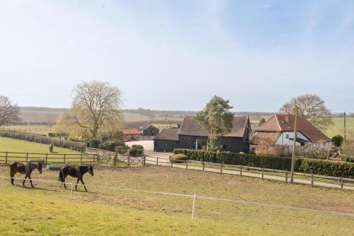 two horses walking in a field near a fence at The Old Dairy in Cookley