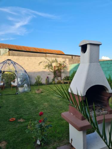 a backyard with a pizza oven in the grass at Cosy home with organic garden in Athenry
