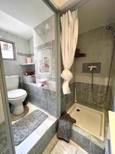 La salle de bains est pourvue d'une douche, de toilettes et d'une baignoire. dans l'établissement Appartement à Nice Acropolis avec terrasse, à Nice