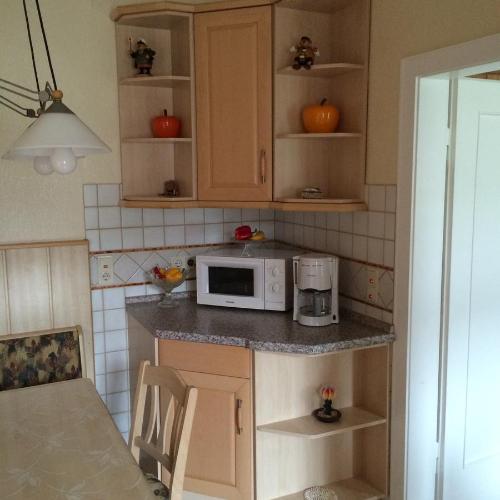 a kitchen with a counter top with a microwave at Pension Hönel-Hof Bad Schandau in Bad Schandau