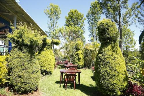 Giardino di Nest Valley Kotagiri
