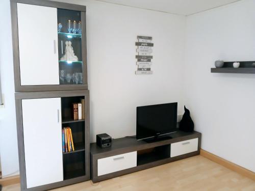 a living room with a tv and a book shelf at Zum Symposion in Namborn